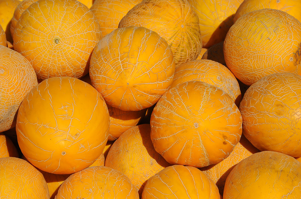 Melons
