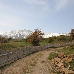 Aksu Djabagly