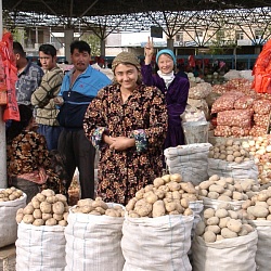 Bazaars of Uzbekistan