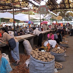 Osh Bazaar