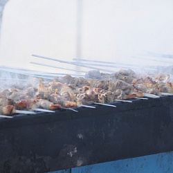 Shashlik (Kebabs)