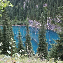 Kolsay