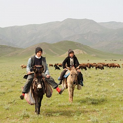 Aydarkul nature