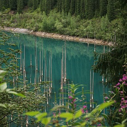 Kolsay