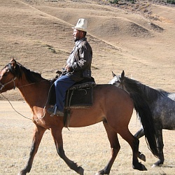 Horseman