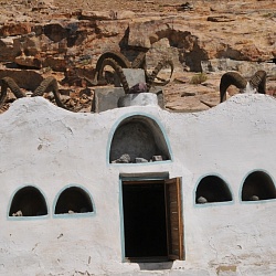 a shrine see the wild goat and marco polo sheep horns